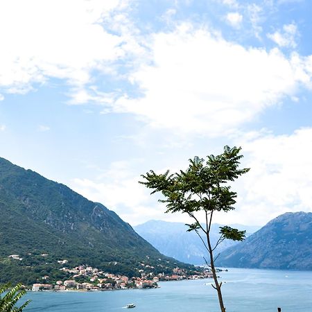 Animil 1 Apartment Kotor Bagian luar foto