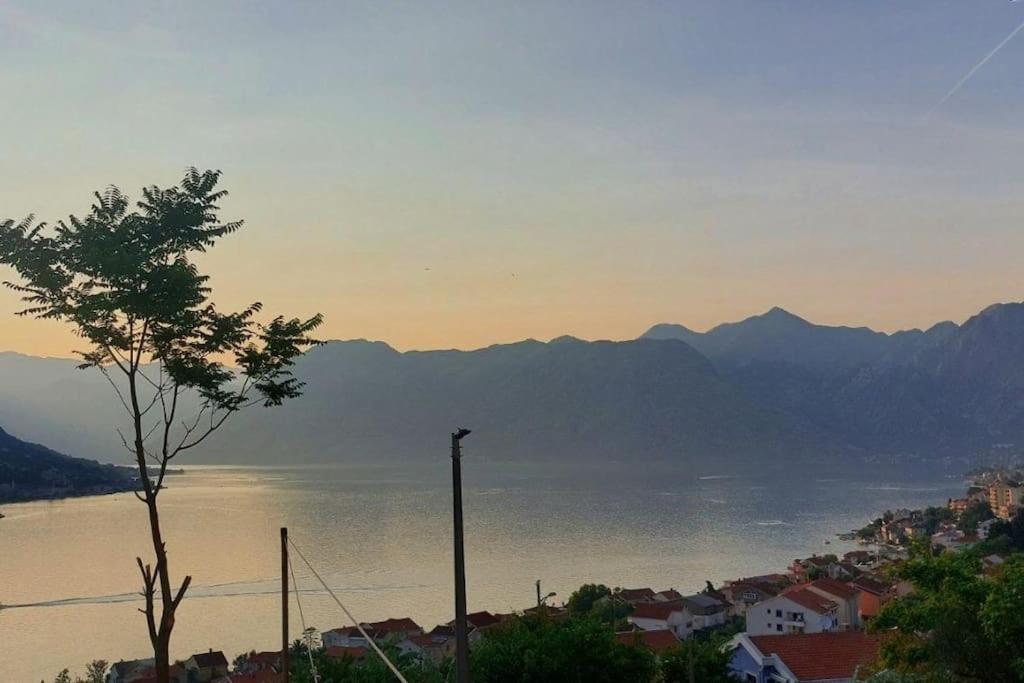 Animil 1 Apartment Kotor Bagian luar foto