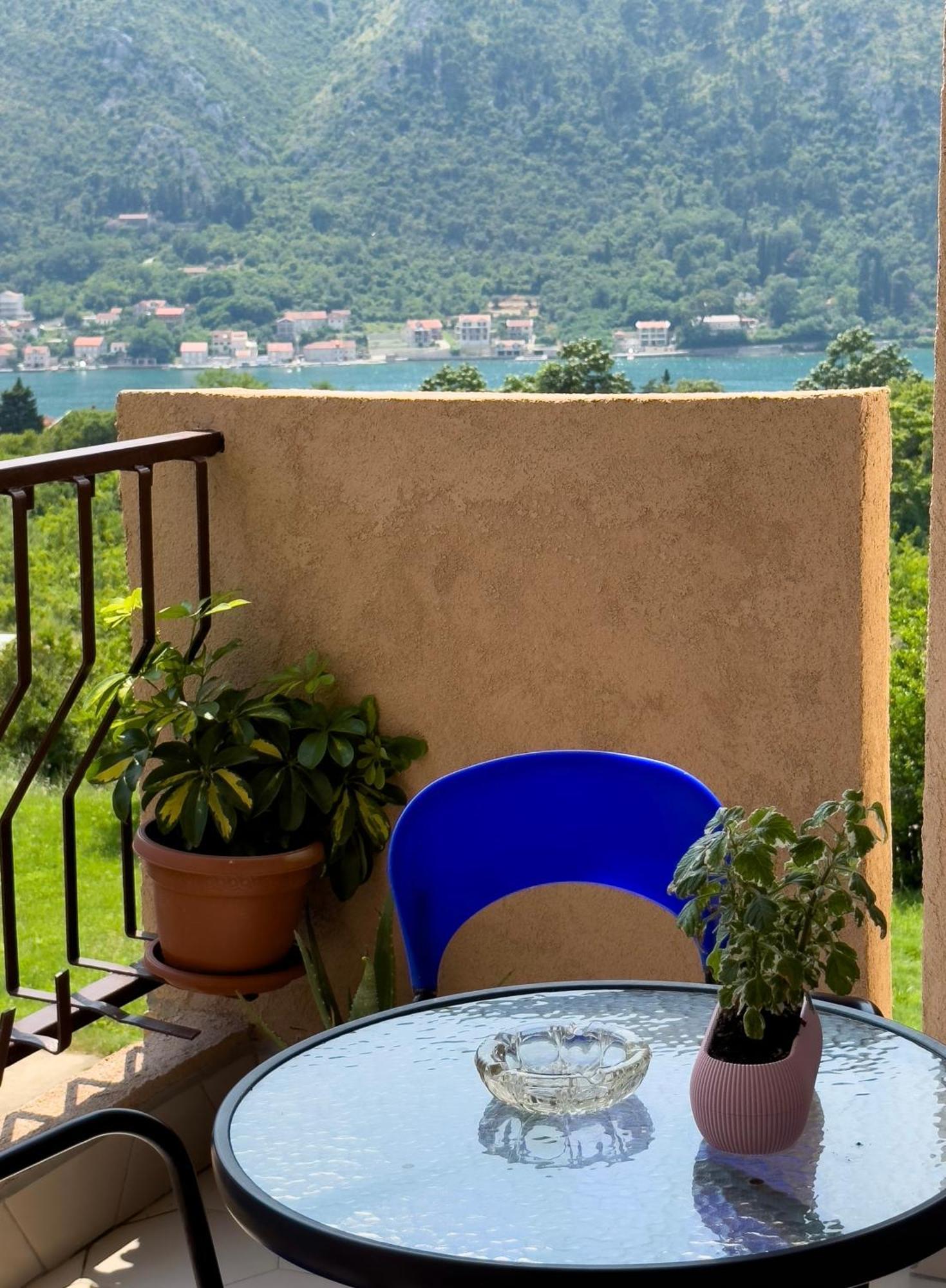 Animil 1 Apartment Kotor Bagian luar foto