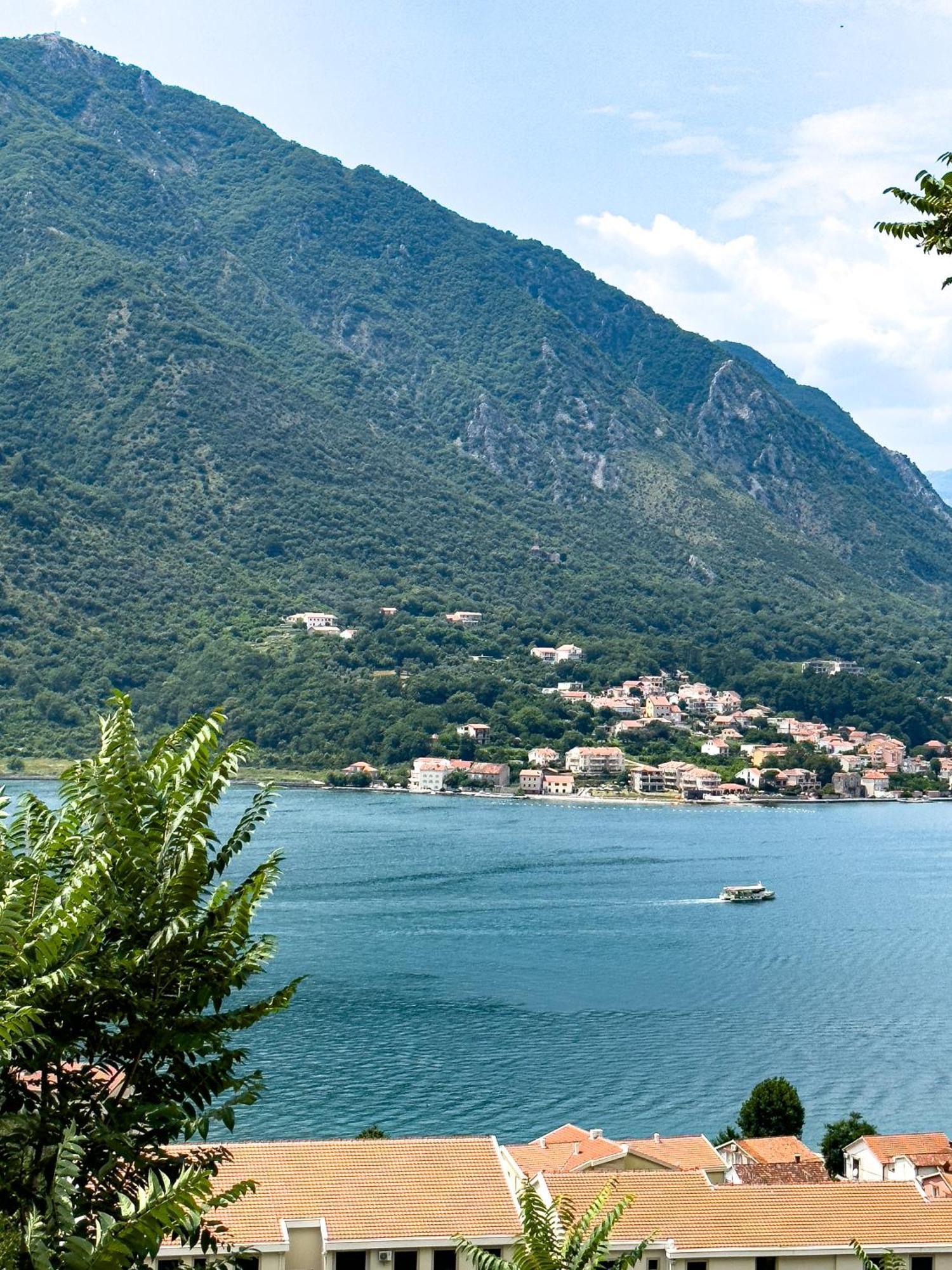 Animil 1 Apartment Kotor Bagian luar foto
